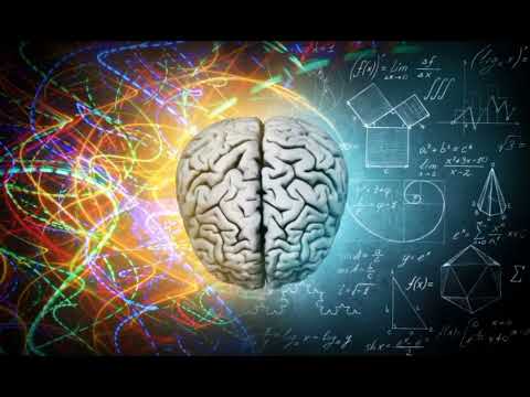 Video: Da li bi mozak bio nervni sistem?
