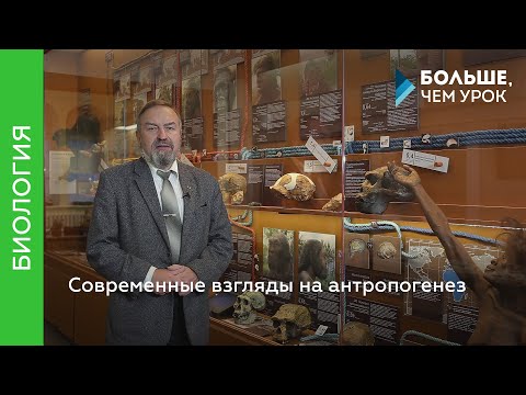 Video: Рентгенсиз сөөктөрдүн кулап калганын кантип айтса болот (сүрөттөрү менен)