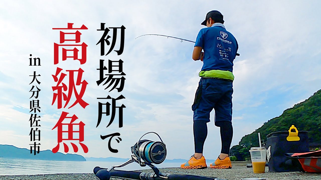 初場所で高級魚を釣る【大分県佐伯市】【ショアジギング】