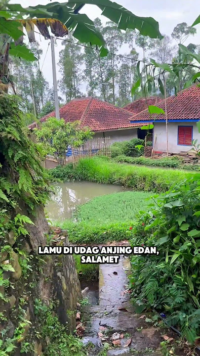 CERAMAH SUNDA SINGKAT- #kampungsepi #storywa #shortvideo