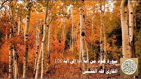 طه الفشني - سورة هود من آية ٨٤ إلى آية ١٠٨ - وَإِلَىٰ مَدْيَنَ أَخَاهُمْ شُعَيْبًا