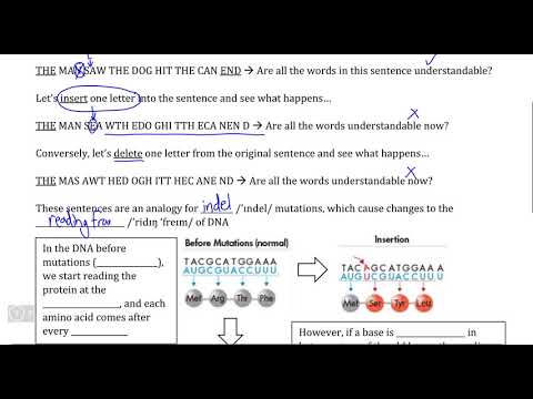 DNA and Protein Synthesis IV, Video III - Frameshift Mutations