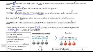 DNA and Protein Synthesis IV, Video III - Frameshift Mutations