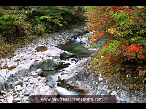 nfs free autumn screensavers