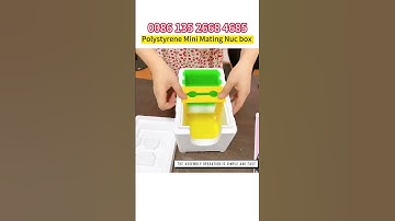 How to Assemble the Polystyrene Mini Mating Nuc box