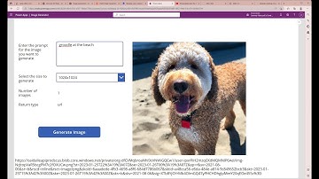 Creating a PowerApps custom connector for Dall-e image generation using OpenAI and Postman