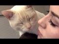 Senior rescue cat is obsessed with mom