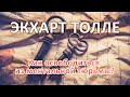 Как освободиться из ментальной тюрьмы? - ЭКХАРТ ТОЛЛЕ [Nikosho]