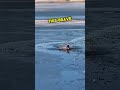Man saves dog in frozen water  shortsheartwarming