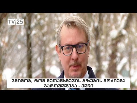 ვშიშობ, რომ შეთანხმების გზების მოძიება უფრო გართულდება - ელჩი