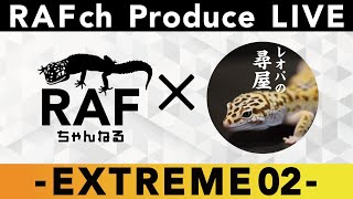 【EXTREME LIVE 02】レオパの尋屋【ヒョウモントカゲモドキ｜爬虫類】