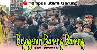 Download Lagu Sasak trending BEJOGETAN BARENG BARENG - REYHANA FAMOR MANIA 02 - Tempos utara Gerung Lobar MP3