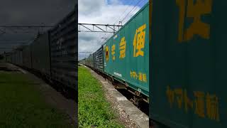 【汽笛とジョイント音】EH500形金太郎牽引の貨物列車が高速で通過【EH500-54】