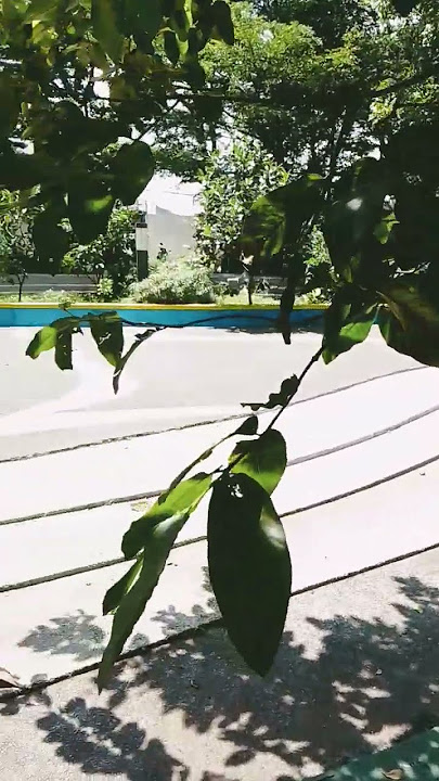 taman regol guys .. puaanasaasss#sikomat #hiburan #jalanjalan #bandung