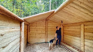 Autumn has come to the dugout- WE are BUILDING A COZY dugout in A SECRET forest! Making a roof