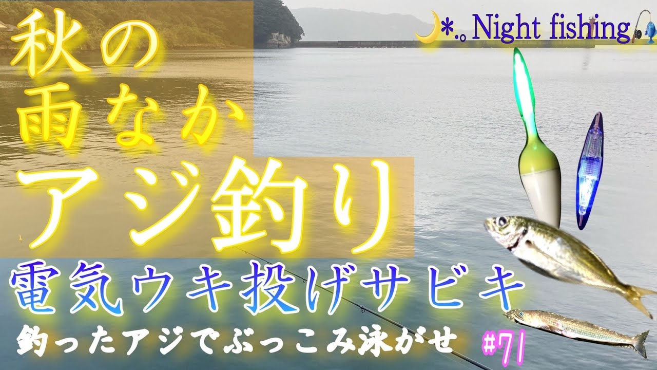 秋夜のアジ釣り 雨中の電気ウキ投げサビキでアジを捕獲しさらに泳がせをやる Japanese Sabiki Fishing In The Rainy Condition 電気ウキ 投げサビキ 夜釣り Youtube