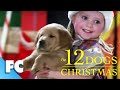 The 12 Dogs of Christmas | Dog Recital Scene Clip | Family Christmas Dog Comedy | Family Central