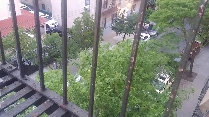 I cannot believe what I just saw or Heard in the Bronx. (May 27, 2020)