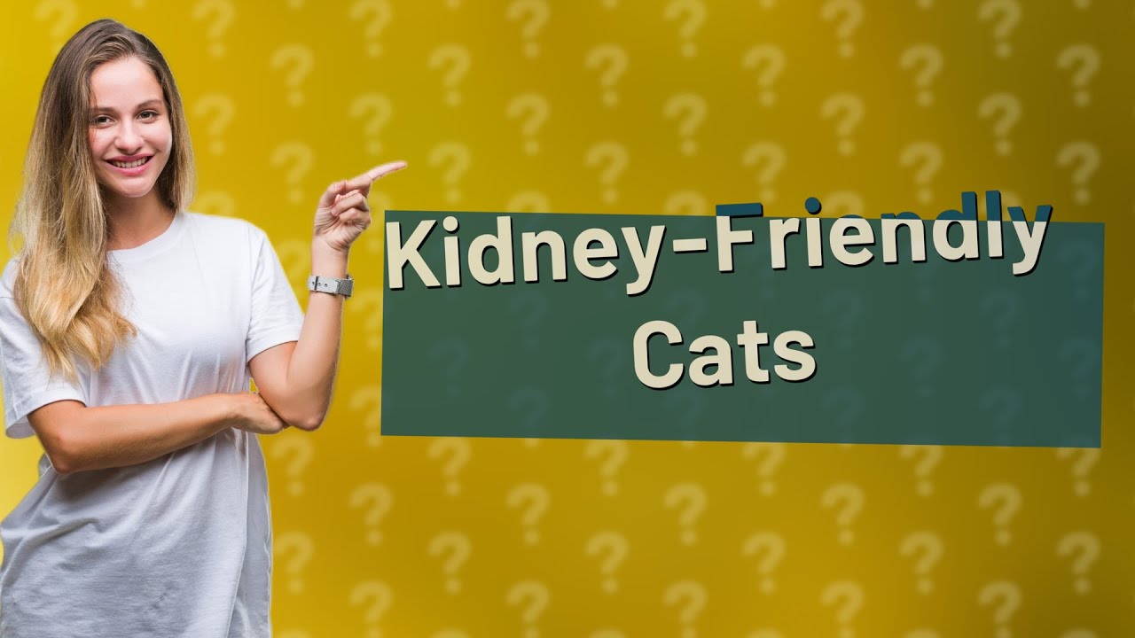 what-should-cats-with-kidney-disease-not-eat-youtube