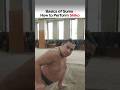 Basics of Sumo: How to Perform Shiko
