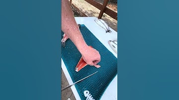 How to scale & fillet a Kokanee quick and easy