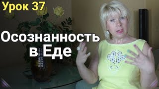 Осознанность еды при Похудении. ЕЛЕНА СТЕПАНОВА. ( Урок 37 ) Осознанность еды при Похудении. ЕЛЕНА СТЕПАНОВА. ( Урок 37 )