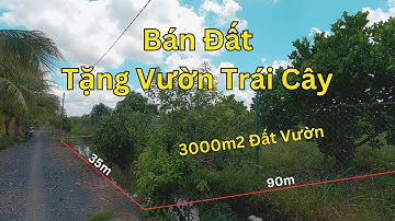 Bán Đất Vườn Bến Lức Tặng Luôn Vườn Cây Ăn Trái 3000m