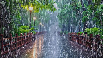 No Ads Rain Sounds for Sleeping - Overcome Insomnia, Relax, Concentrate, Beat Stress | White Noise