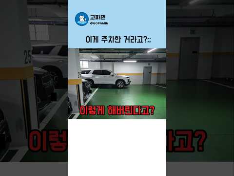 이렇게 주차하고 뭐가 문제냐고?