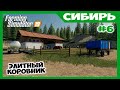 Построили новый  дорогущий элитный коровник // Сибирь ч.6 // Farming simulator 19