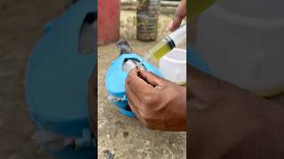 How To Administer Medicine To An Ill Pigeon Using A Syringe