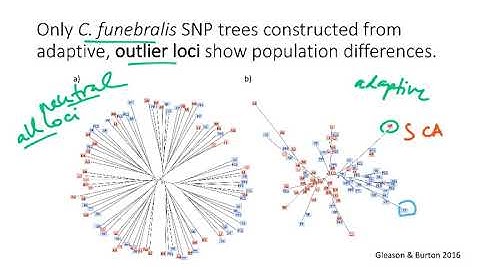 BIO178 Week 4 Phylogeography Trees