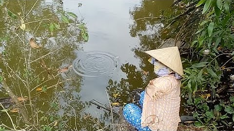 khi các thánh đi câu. nhìn câu cá chốt mà ham