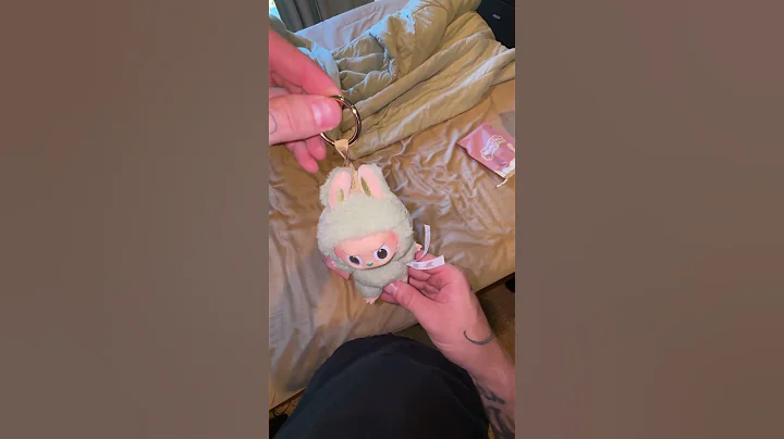 #labubu #popmart #excitingmacaron