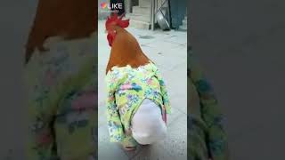 Pakak pak pak pak pak pakaak😂😂😂😂