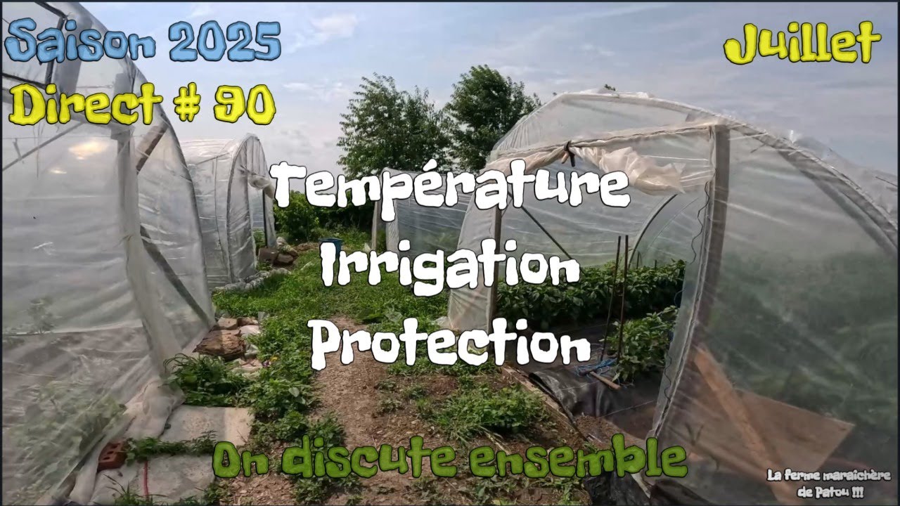 Saison 2025  | Température, Irrigation et Protection | Conseils, trucs et astuces  pour tous #90