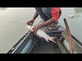 Mirgal fishing with River Net fishing #netfishingvideo