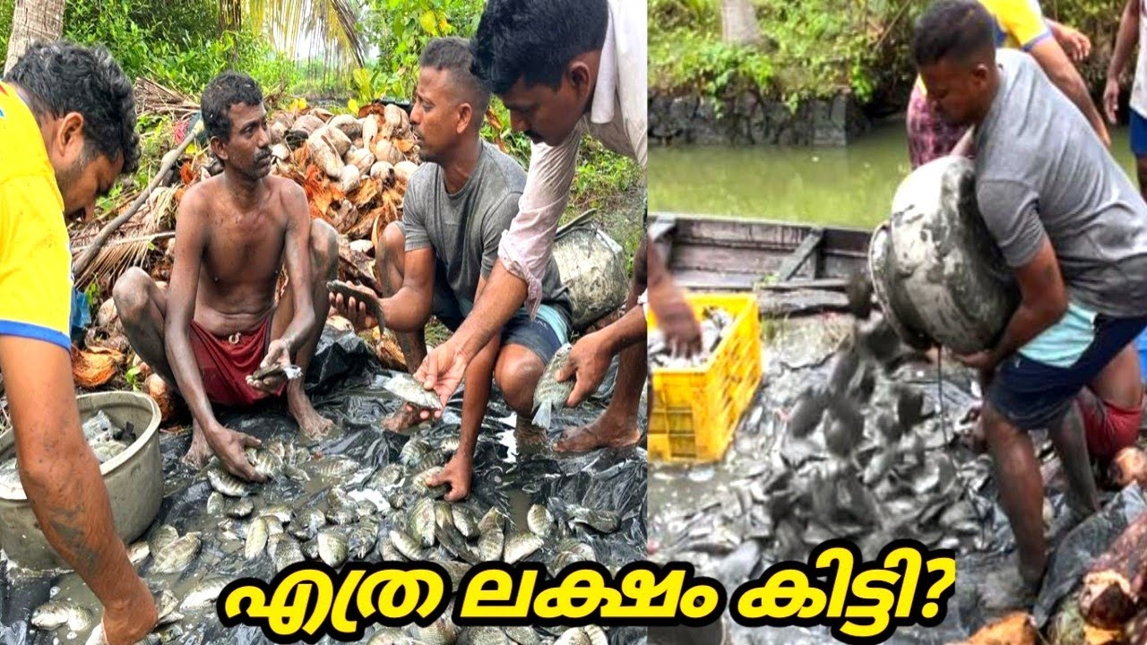 ചെമ്മീൻകെട്ട് വറ്റിച്ചിട്ട് എത്ര ലക്ഷം രൂപ കിട്ടി....