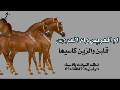 شيلة لام العريس وام العروس اقبلن والزين كاسيها شيلة ام العريس وام العروس شيلات لام العريس جديد 