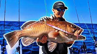 Slow Pitch Jigging ONLY Public Numbers!| Fort Morgan, Alabama