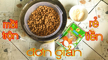 Hướng Dẫn Cách Trộn Mồi ( CÂU CÁ TRA SÔNG ) Đơn Giản Rẻ Tiền Mà Lại Hiệu Quả - Fishing