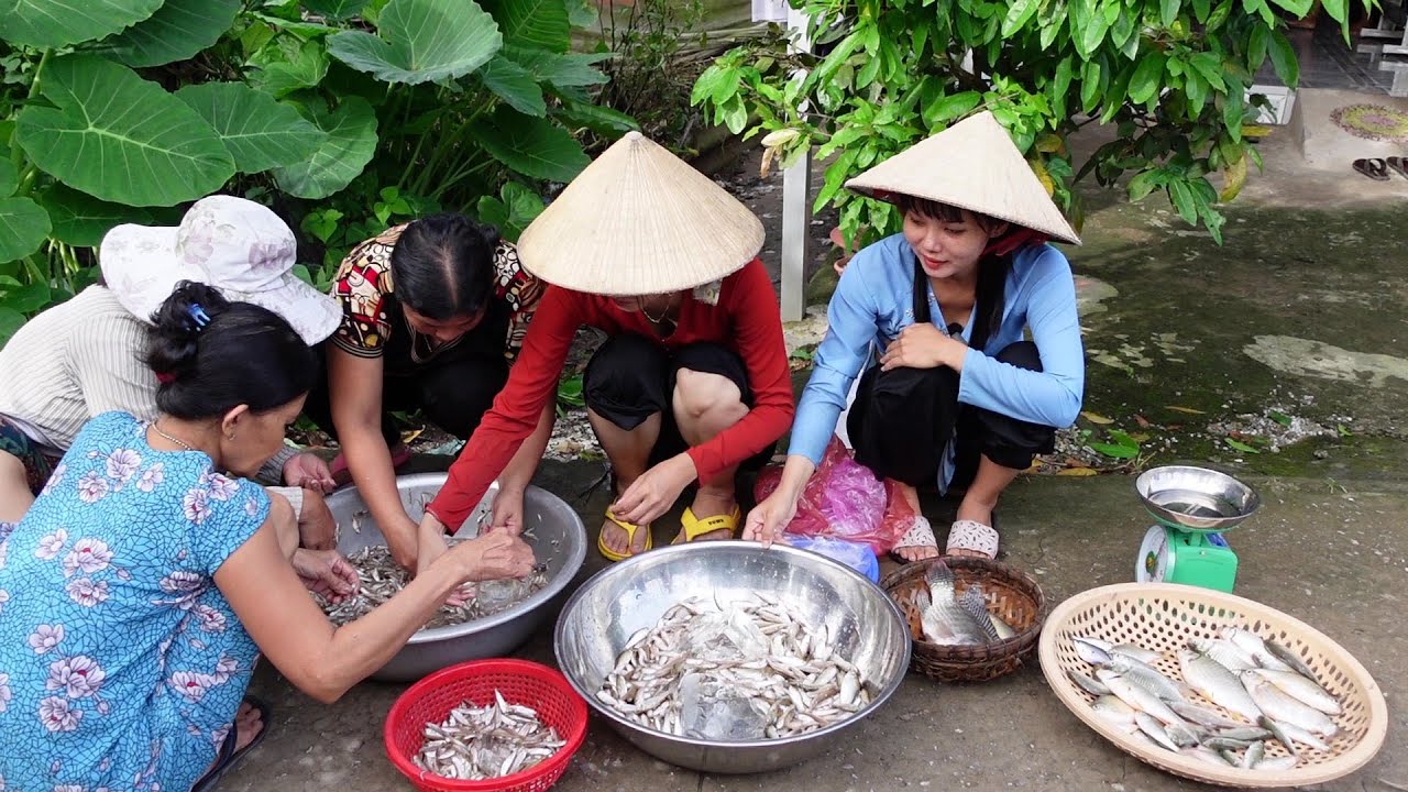 Kéo Lưới Trúng Mánh Một Thau Cá Hai Chị Em Đem Vào Đường Lộ Nhóm Chợ ...