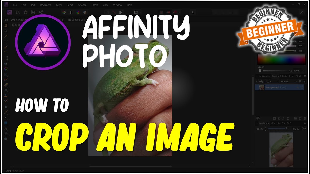 Affinity Photo How To Crop An Image - YouTube