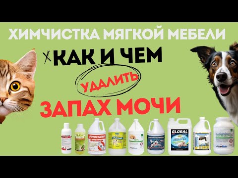 Видео на YouTube