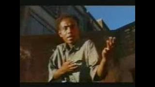 Avia mona - Terakaly