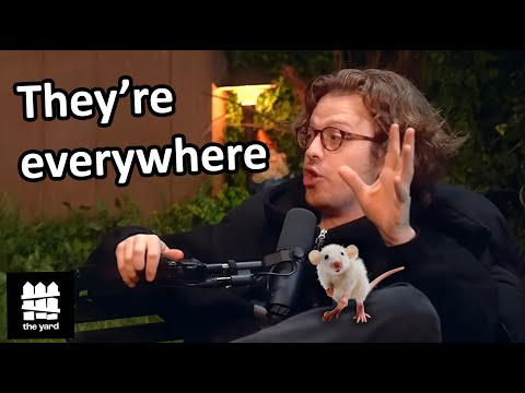 We have a MASSIVE problem...