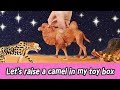 [EN] Let’s raise a camel in my toy box!! animal names for kids, kids english, collectaㅣCoCosToy