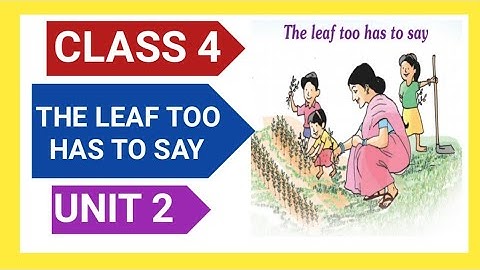 CLASS 4/EVS/UNIT 2/ THE LEAF TOO HAS TO SAY/ACTIVITIES