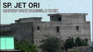 Suara Ini Bisa Untuk Panggil dan Suara Tarik Hexagonal, Cocok Untuk Semua Lokasi