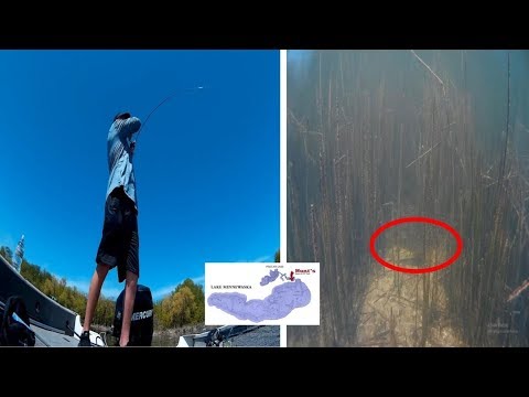 DDS Bass Tournament- Lake Minnewaska